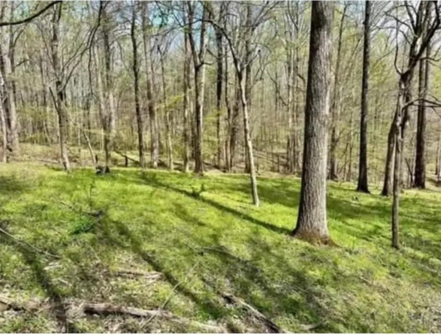 0 Allen Bend Road, Smithville, TN 37166 - #3