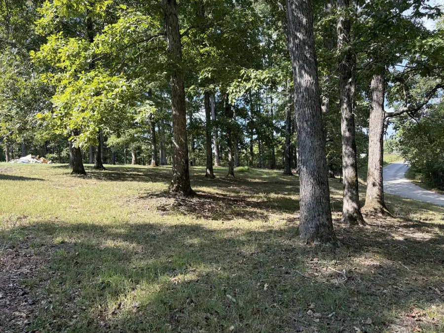 10404 Ridgecrest Dr, Bon Aqua, TN 37025 - #2