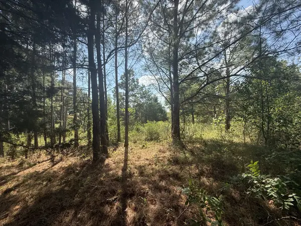 1140 Southside Rd, Southside, TN 37171