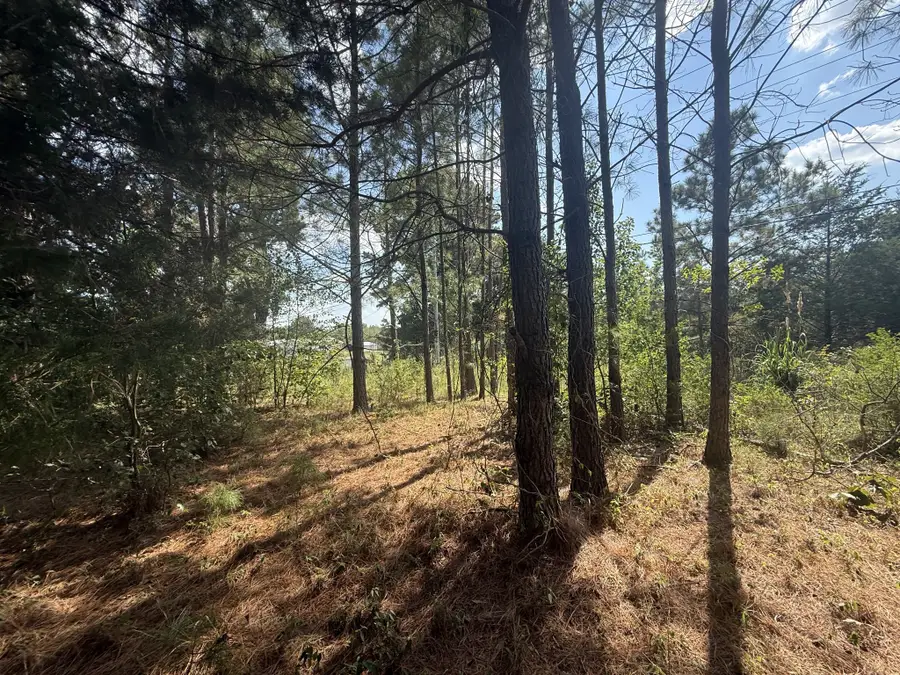 1140 Southside Rd, Southside, TN 37171 - #2