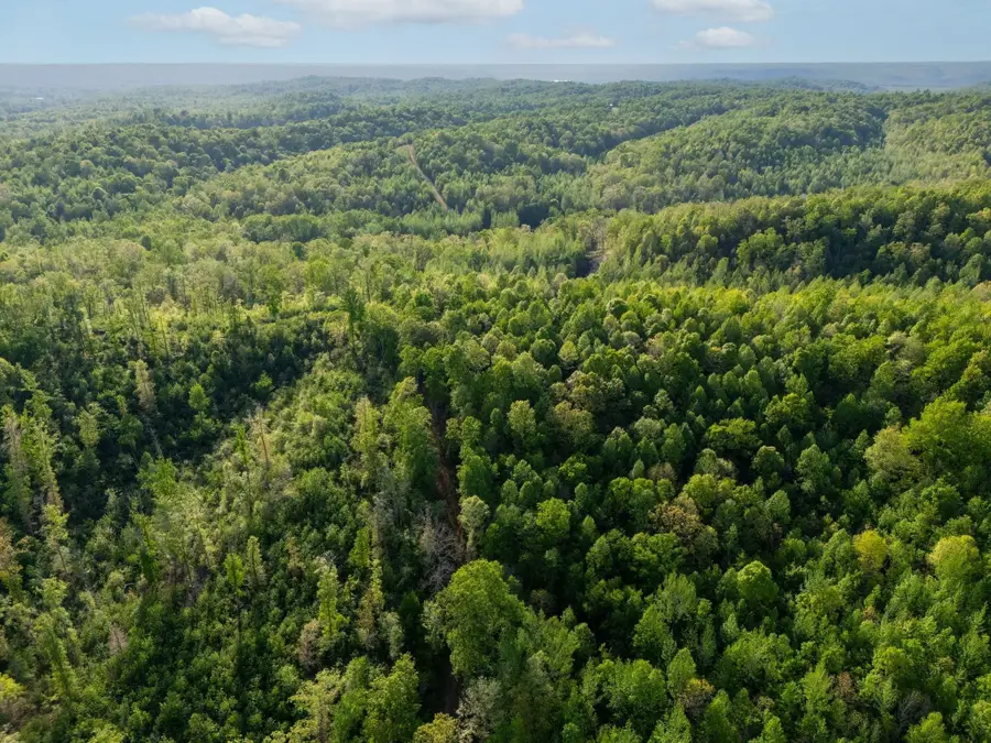 664 Russ Valley Rd, Lobelville, TN 37097 - #3