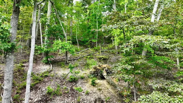 1 Ridge Top Rd, Stewart, TN 37175
