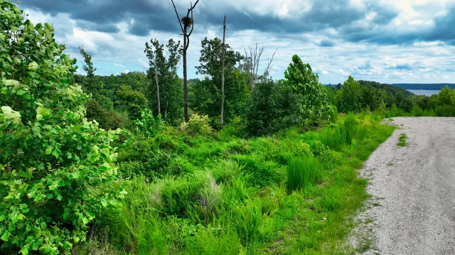 1 Ridge Top Rd, Stewart, TN 37175 - #3