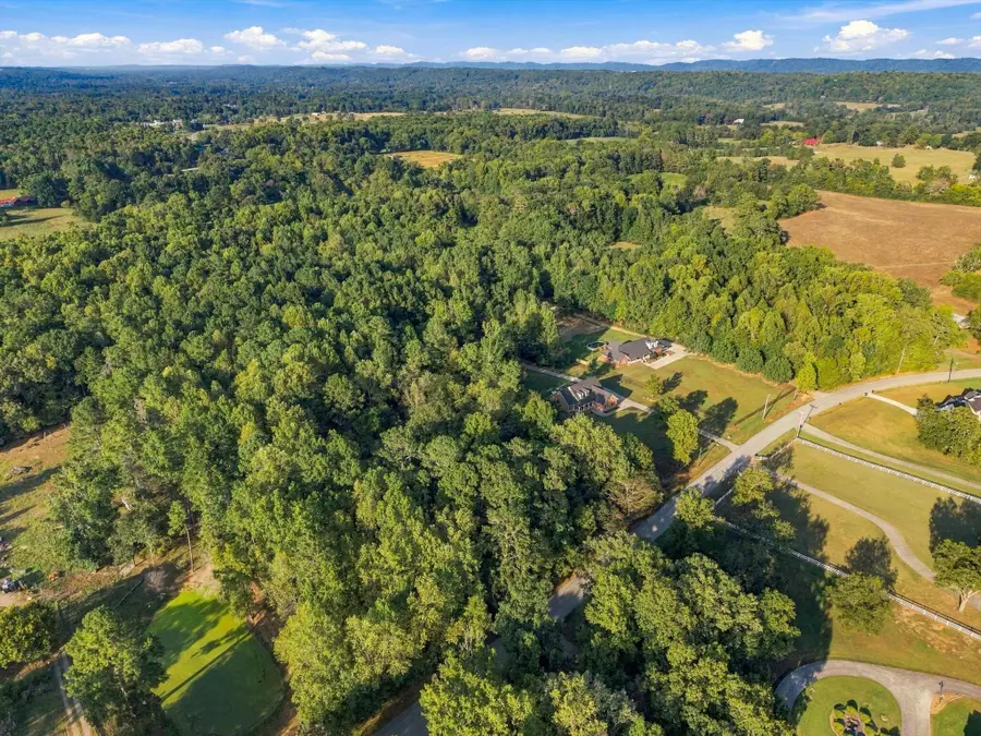 0 Peavine Road, Ringgold, GA 30736 - #3