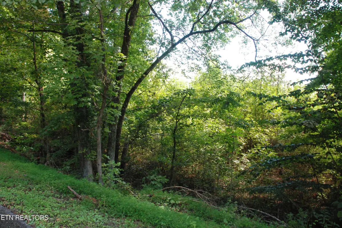 222232 Vann Drive, Harriman, TN 37748 - #1