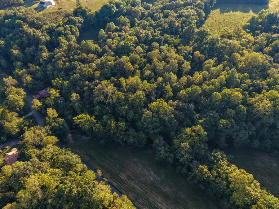 4 Shelter Branch, Charlotte, TN 37036 - #2