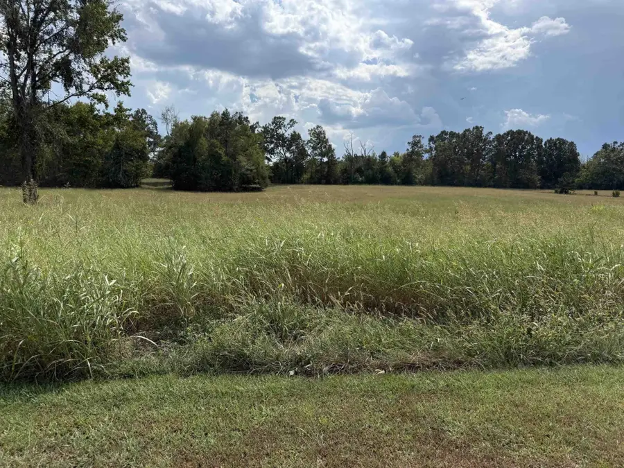 16 Twelve Oaks Dr, Adamsville, TN 38310 - #2