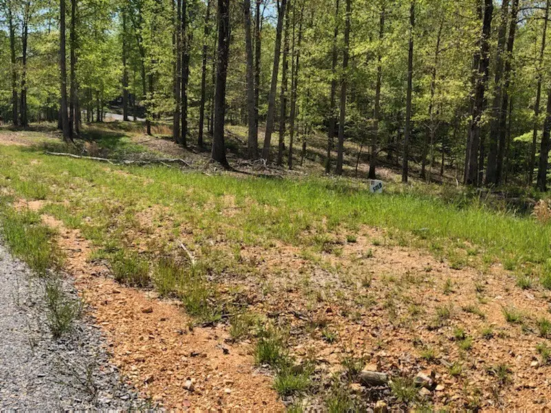 81 The Woodlands Of Nashville, McEwen, TN 37101 - #1