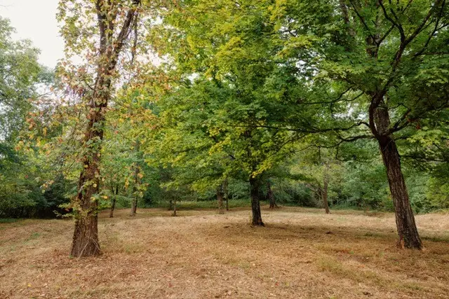 0 Lula Ln, Franklin, TN 37064 - #1