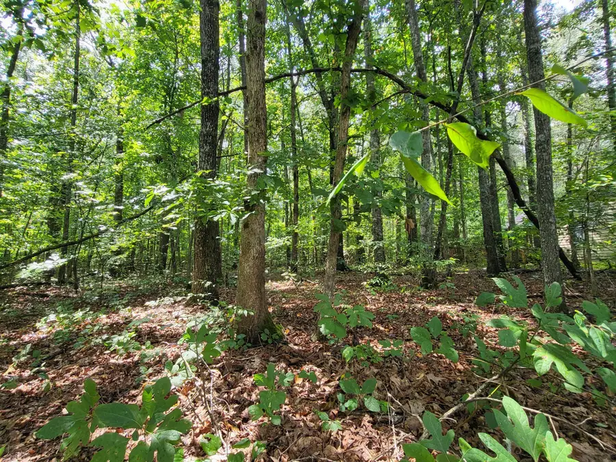 565 Valley Loop, Crossville, TN 38572 - #2