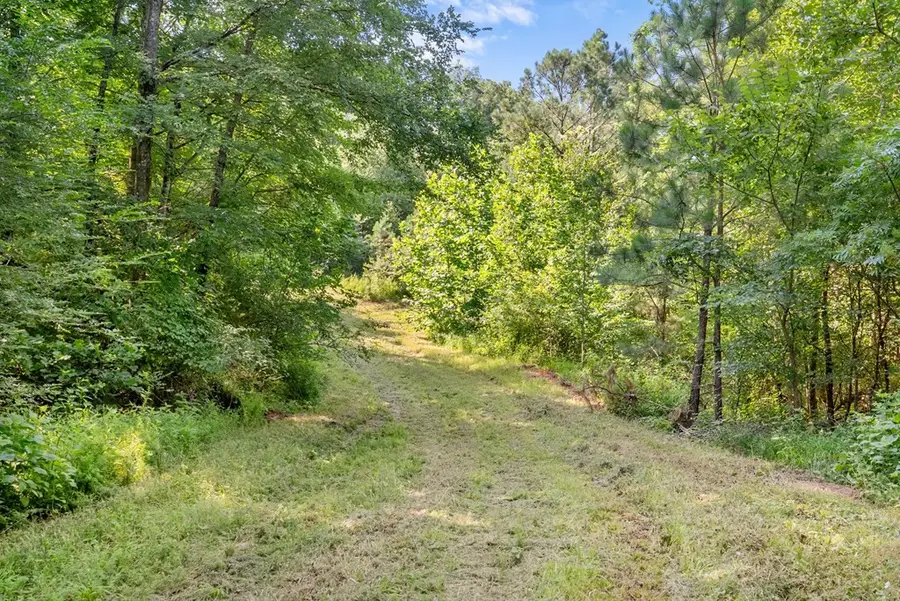 0 Hamilton Rd, Springville, TN 38256 - #3
