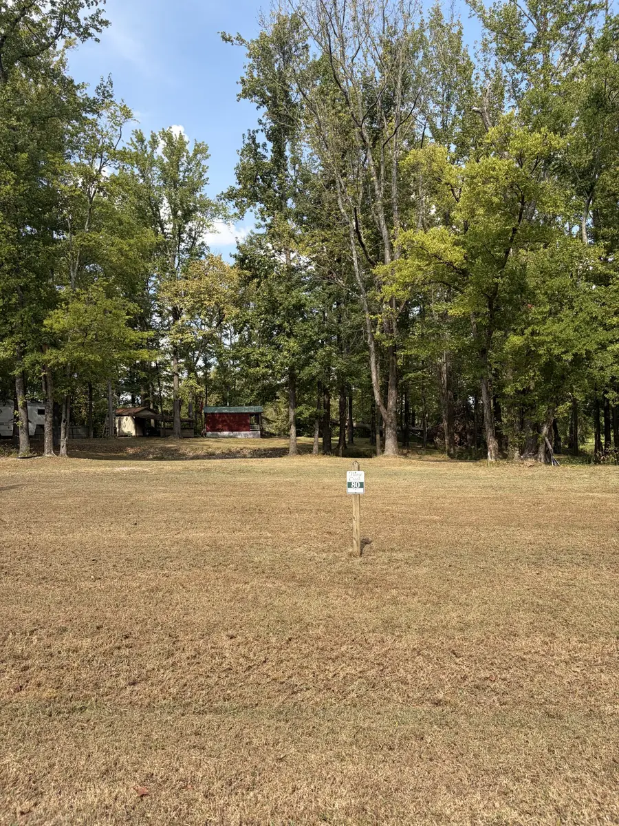 920 Elizabeth Lane, Savannah, TN 38372 - #3