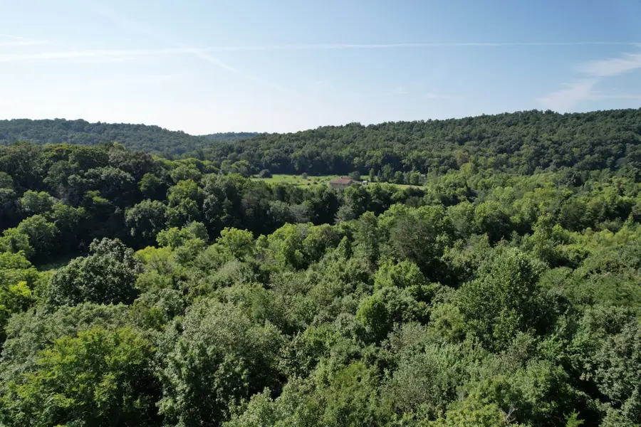 121 Frank Reed Rd, Spring City, TN 37381 - #2