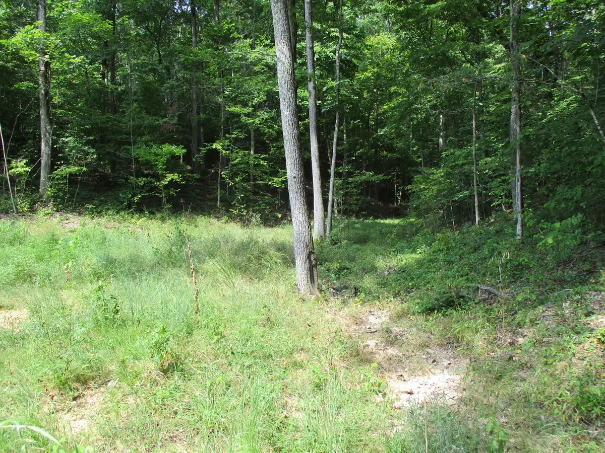 1613 Red Bank Creek Rd, Lobelville, TN 37097 - #1