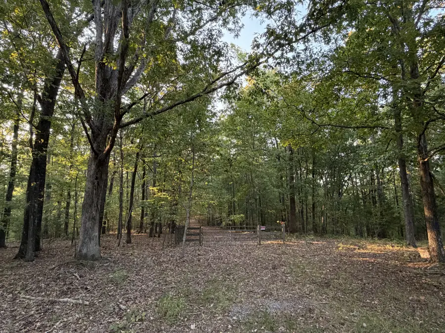 0 Magnolia Lane, Normandy, TN 37360 - #2