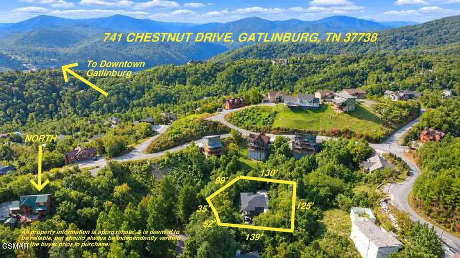 741 Chestnut Drive, Gatlinburg, TN 37738 - #2