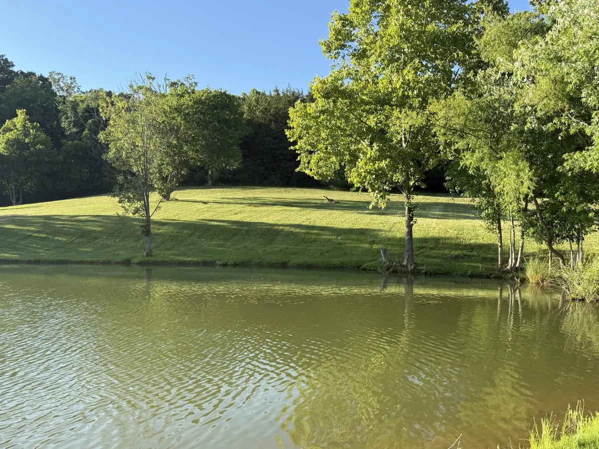 0 Pinhook Road, Calhoun, TN 37309 - #1