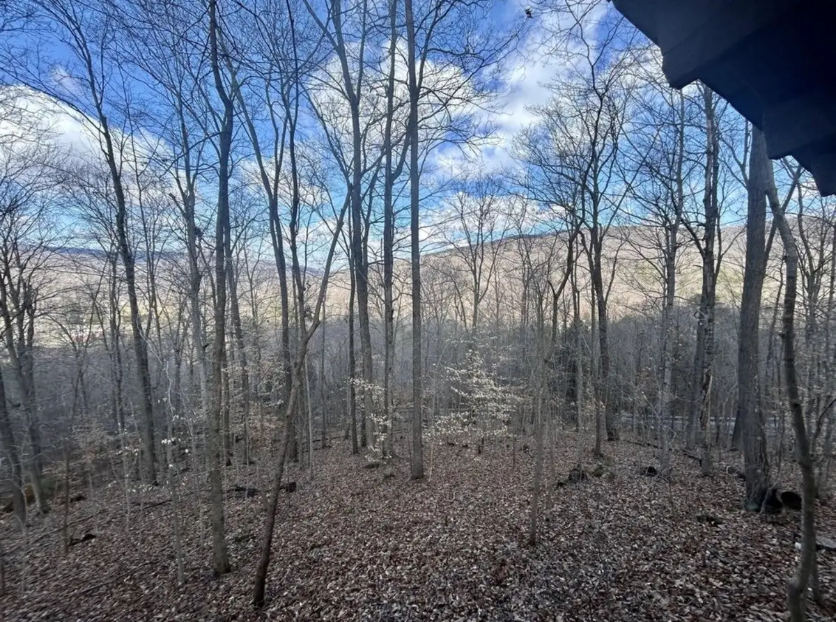 10127 Rocky River Rd, Rock Island, TN 38581 - #1