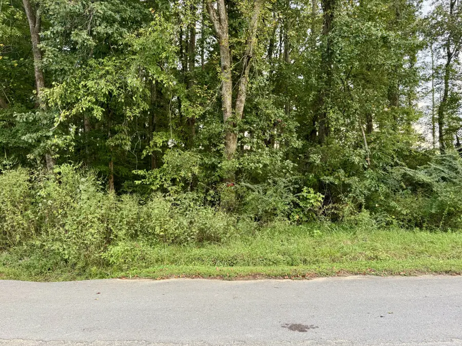 802 Arwine Rd, Decatur, TN 37322 - #2