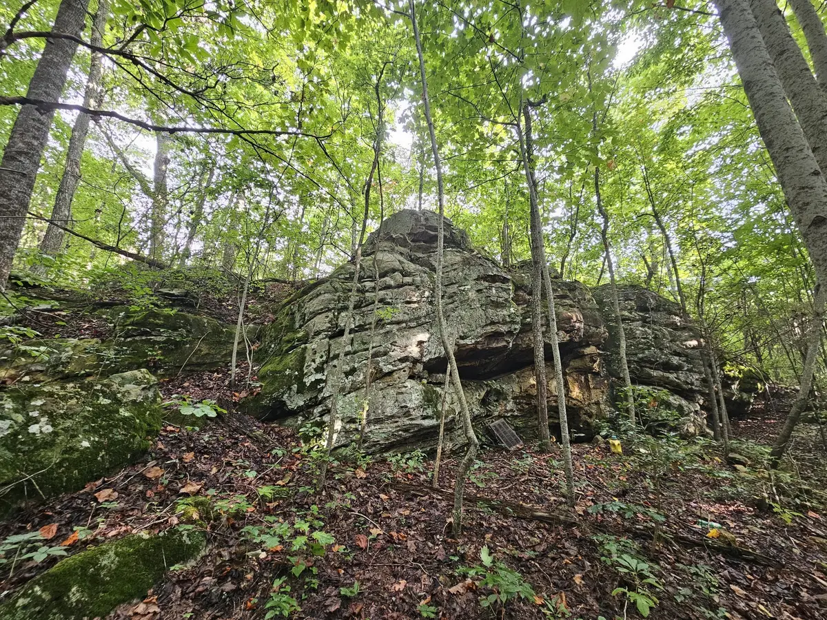 9 Myers Town Road, Beersheba Springs, TN 37305 - #1