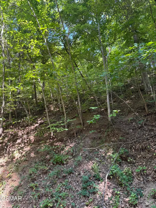 0 Progress Hill Drive, Pigeon Forge, TN 37863