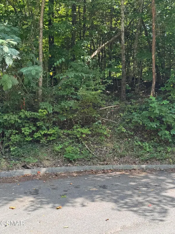 0 Sb Ogle Lane, Pigeon Forge, TN 37876