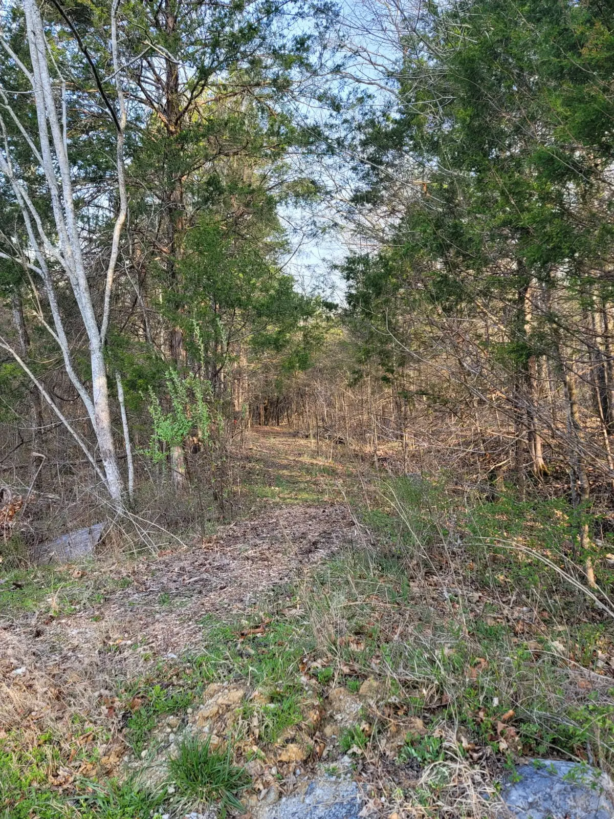 0 Greenfield Estates Dr, Culleoka, TN 38451 - #1