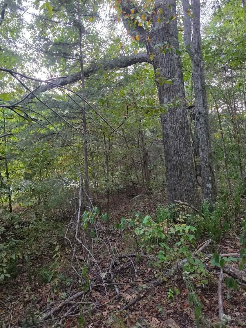 0 Greenfield Estates Dr, Culleoka, TN 38451 - #3