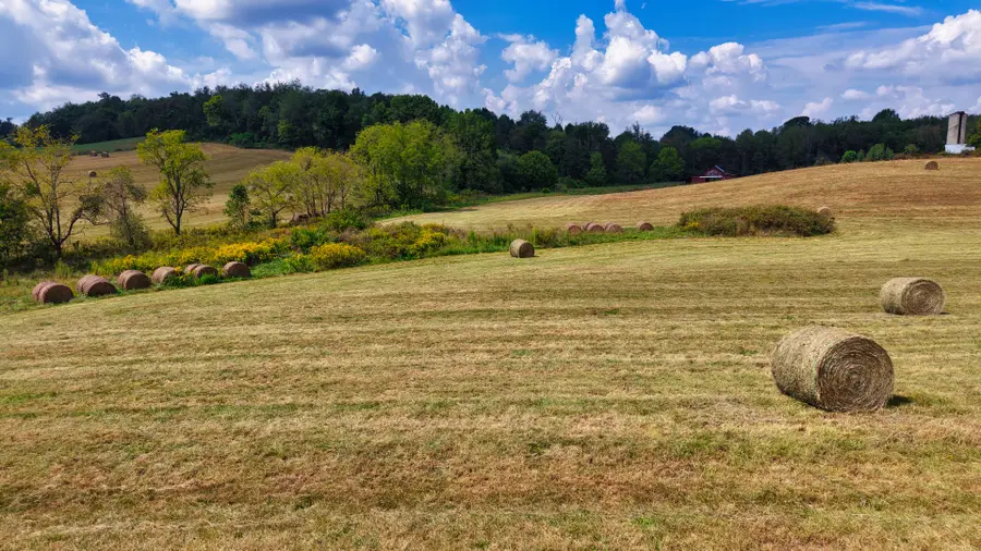 0 Mitchell Ridge Rd, Jonesborough, TN 37659 - #2