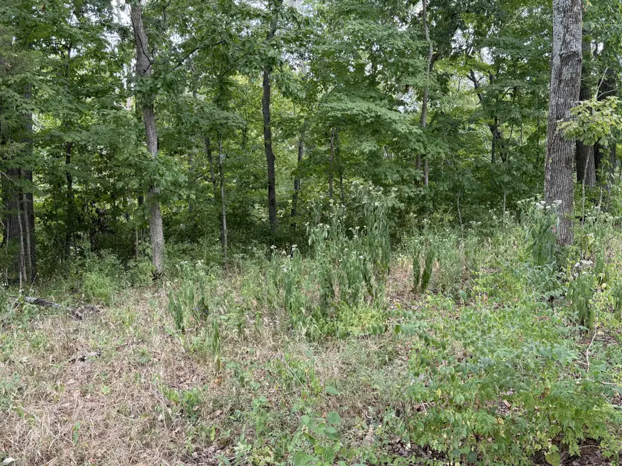 5022 Buena Vista Pike, Nashville, TN 37218 - #2