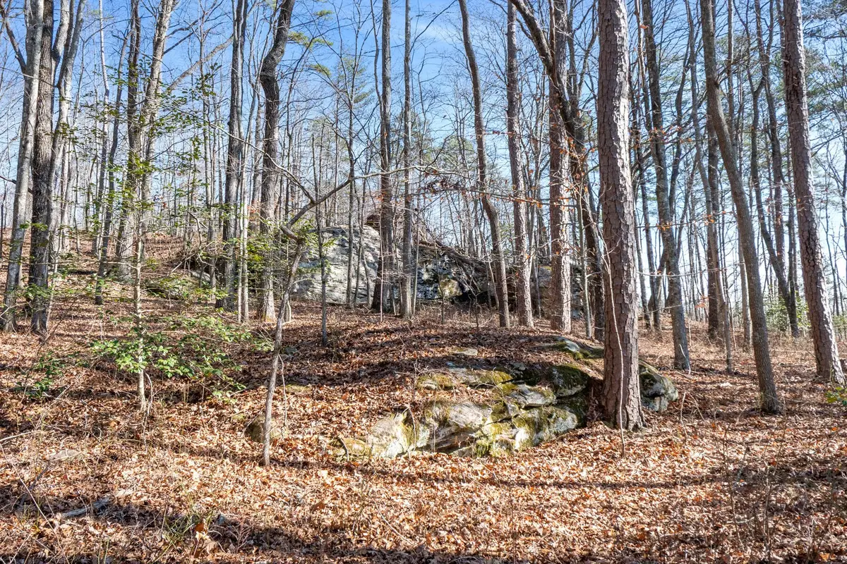 0 Tall Tree Trail, Dunlap, TN 37327 - #1