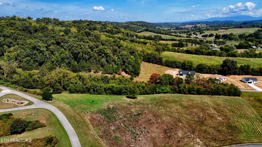 5 Cocke County, Parrottsville, TN 37843 - #2