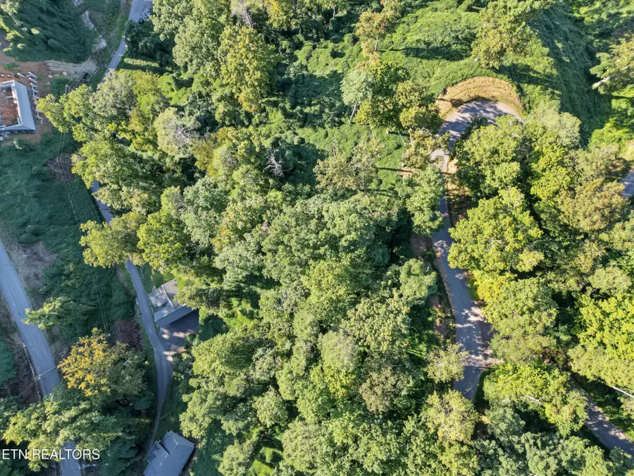 14 Davenport Rd, Gatlinburg, TN 37738 - #3