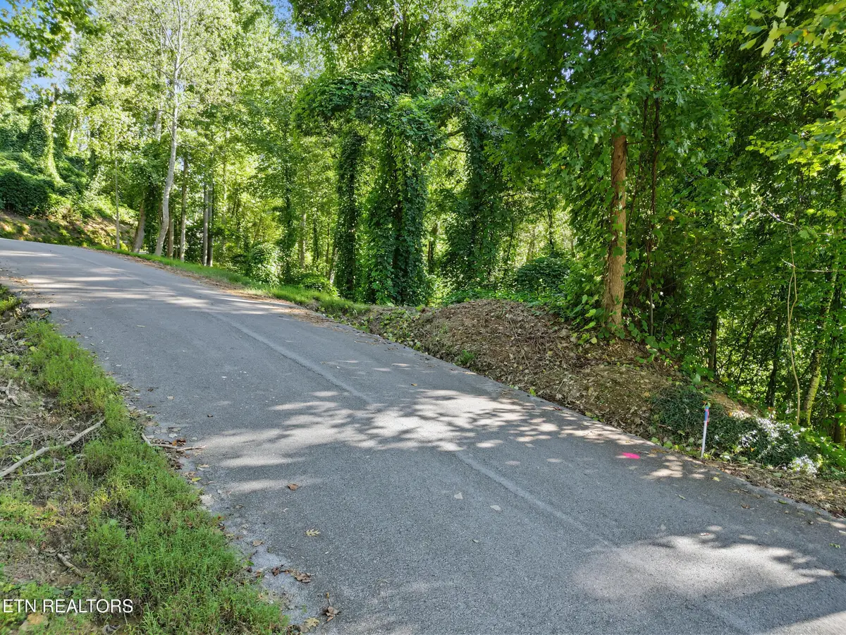 15 Davenport Rd, Gatlinburg, TN 37738 - #1