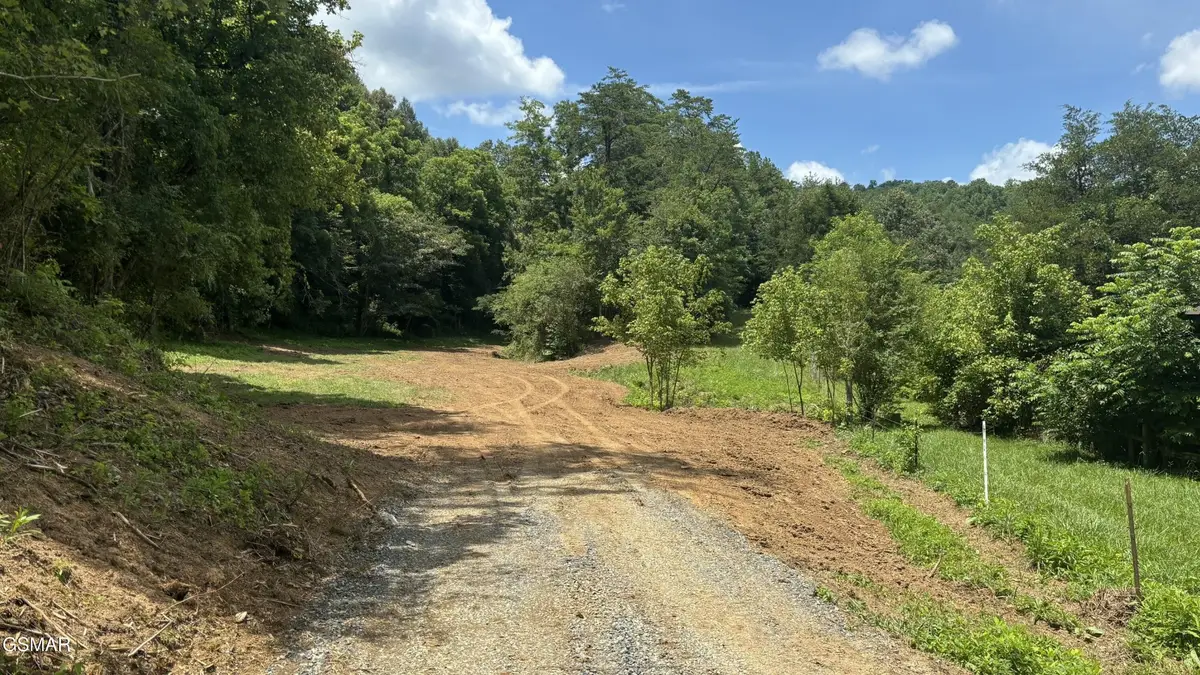 0 Bogard Rd, Cosby, TN 37722 - #1
