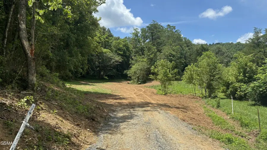 0 Bogard Rd, Cosby, TN 37722 - #2