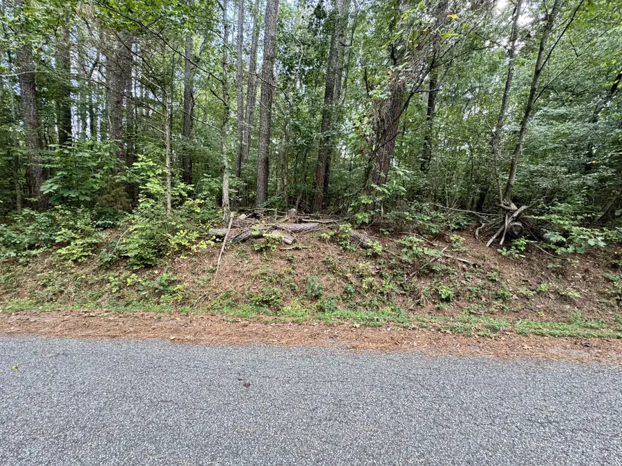 0 Forest Trail, Bumpus Mills, TN 37028 - #3