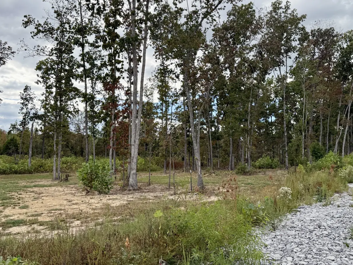 0 Brinkley Rd, Wartrace, TN 37183 - #1