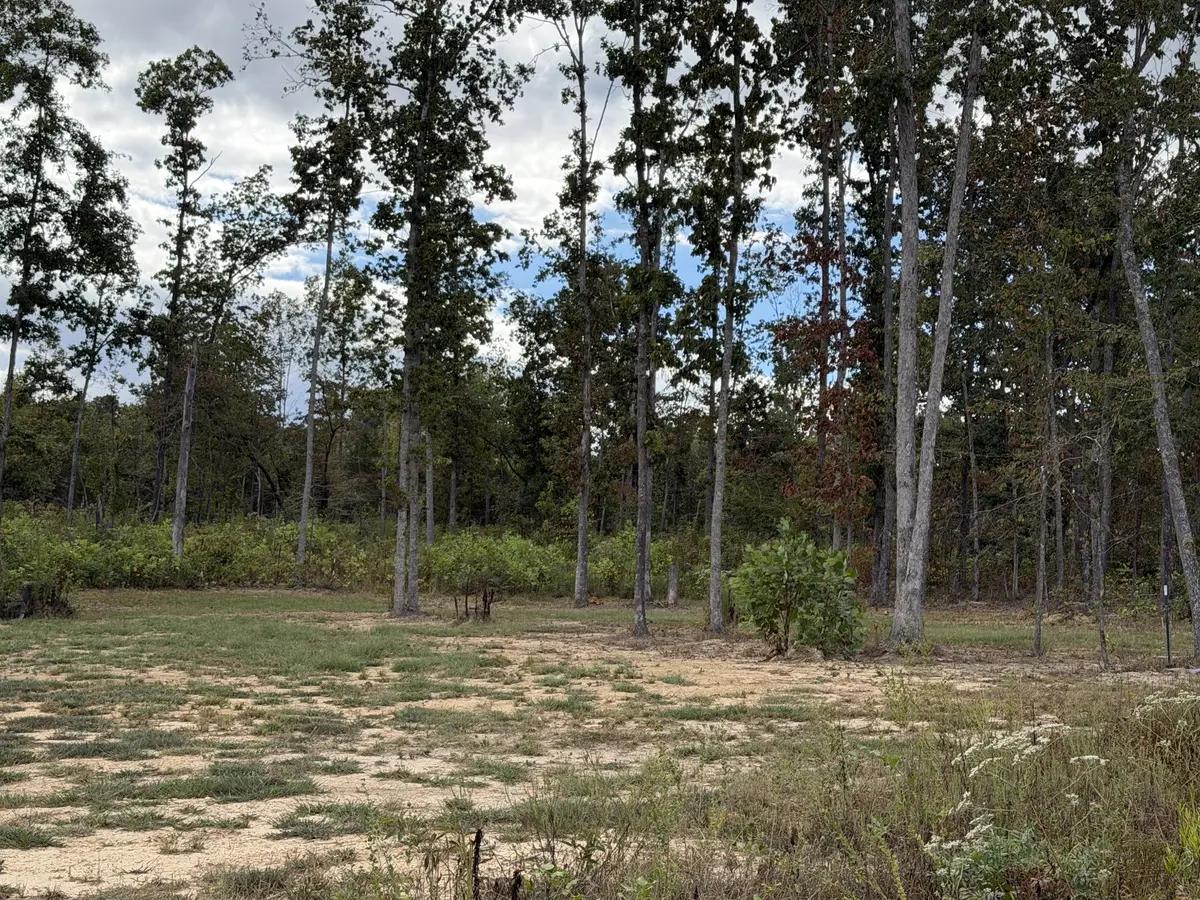 0 Brinkley Rd, Wartrace, TN 37183 - #1