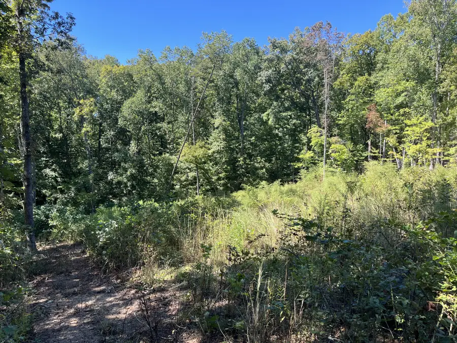 223 Clear Springs Rd, Harriman, TN 37748 - #3