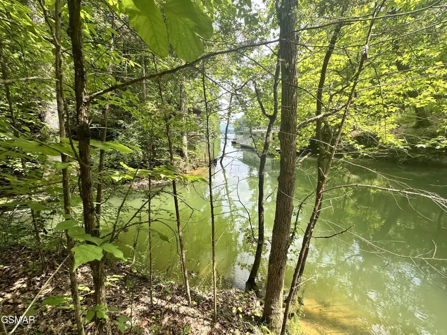 8 Woods Ridge Road, Dandridge, TN 37725 - #3