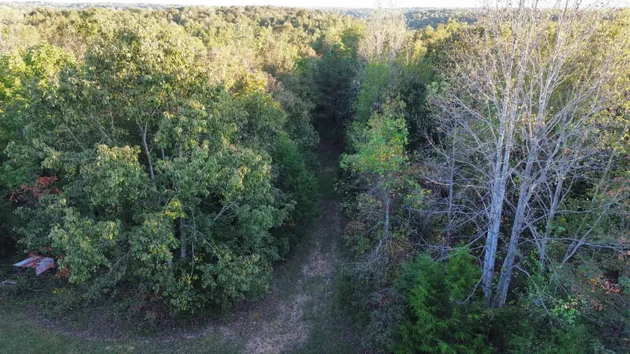 565 Lucas Ridge Ln, Waverly, TN 37185 - #2