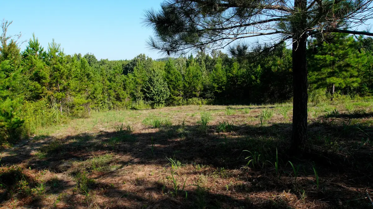 1 Ables Road, Cherokee, AL 35616 - #1