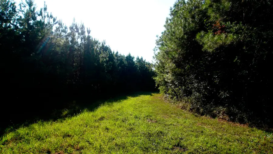 1 Ables Road, Cherokee, AL 35616 - #3