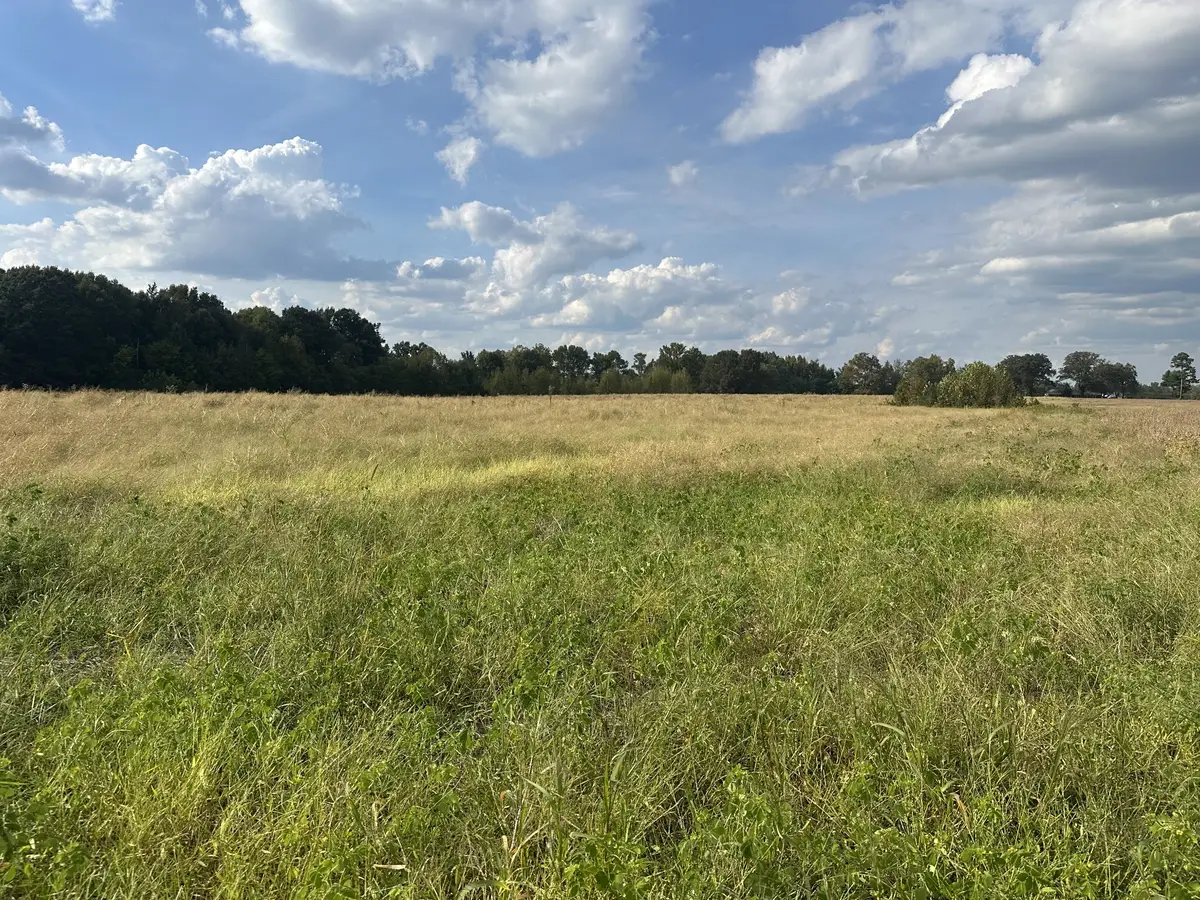 0 Pendergrass Rd, Flintville, TN 37335 - #1