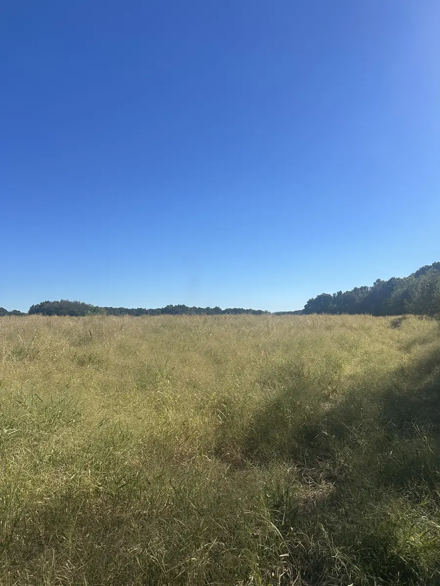 0 Pendergrass Rd, Flintville, TN 37335 - #3