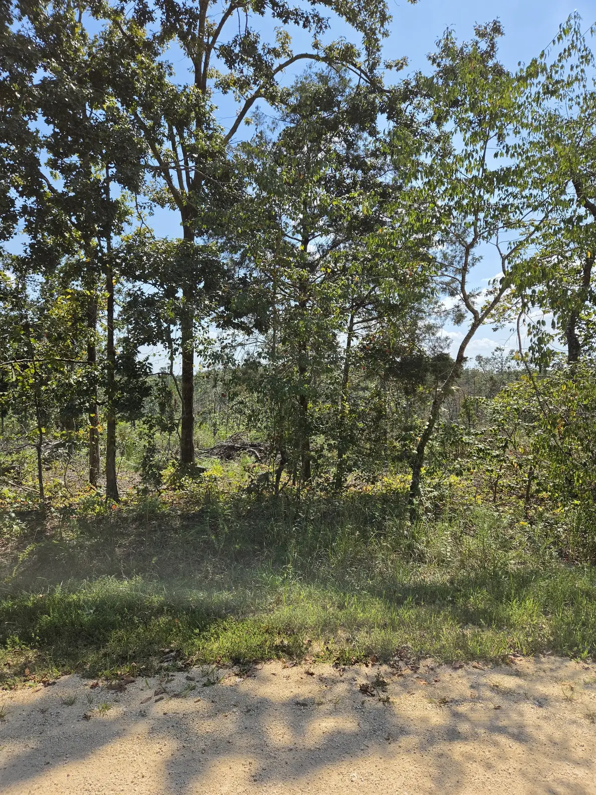 0 Woodland Rd, Hohenwald, TN 38462 - #1