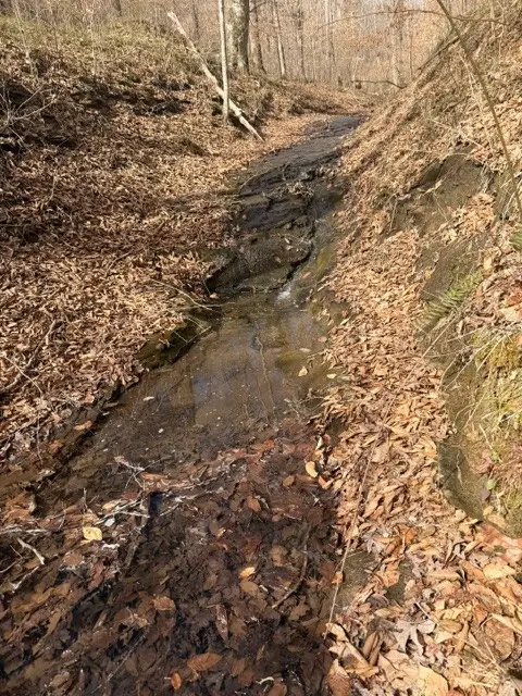 1013 Valencia Ct, Ashland City, TN 37015