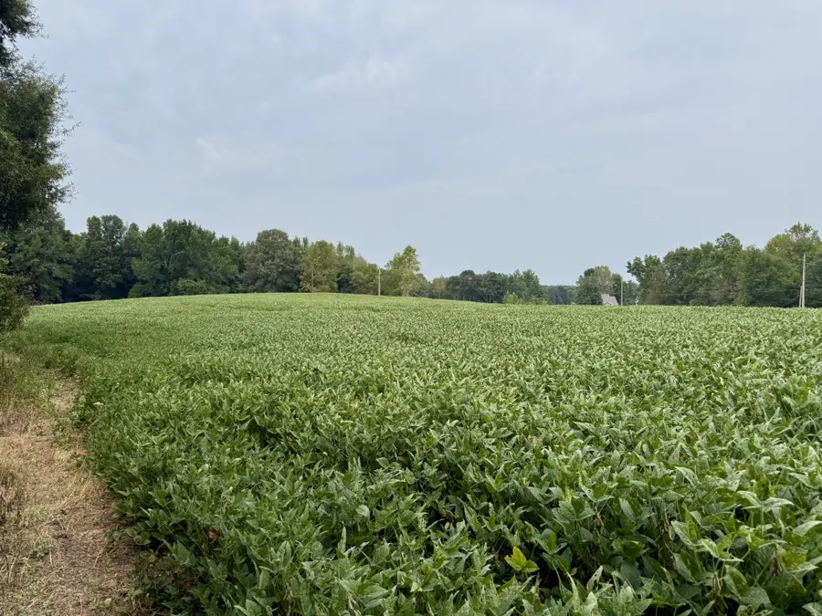 0 Oakdale Road, Athens, AL 35613 - #3