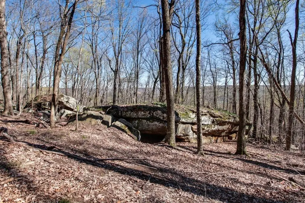 8 Long Mountain Trl, McMinnville, TN 37110 - #1
